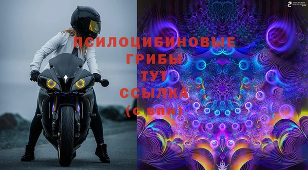 дмт Аркадак