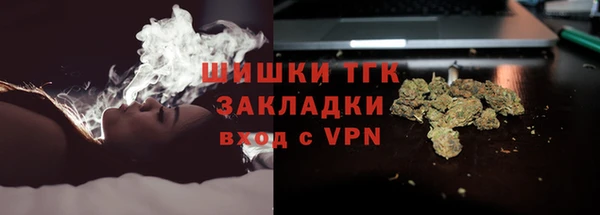 сатива Армянск