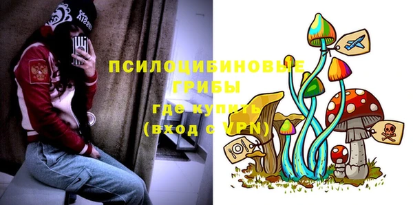трава Анжеро-Судженск