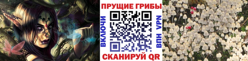 Псилоцибиновые грибы мицелий  kraken   Билибино 