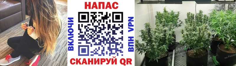 Каннабис план  Билибино 